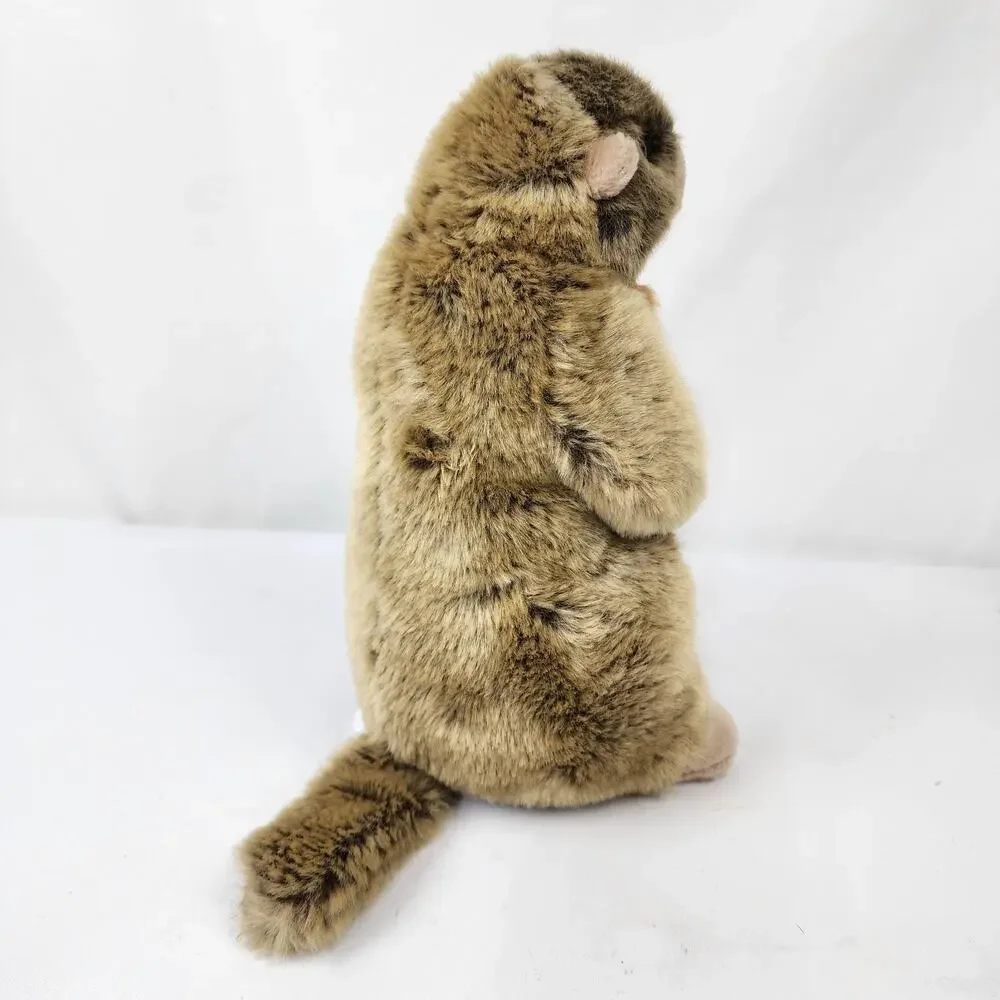 Wildlife Artists Realistic Marmot Groundhog Woodchuck 10